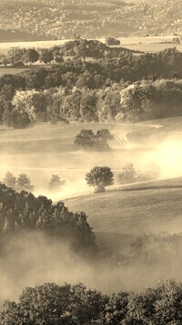 Sepia