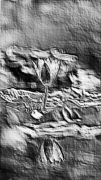 Skamielina