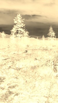 Sepia + Negatyw