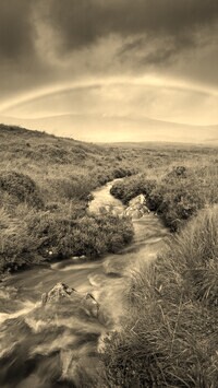 Sepia