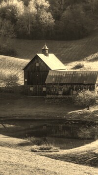 Sepia