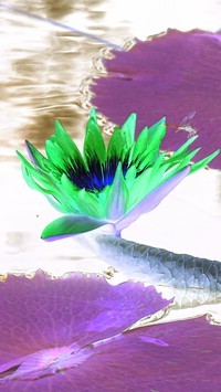 Negatyw