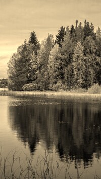 Sepia
