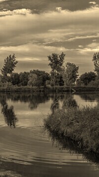 Szary + Sepia