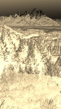 Sepia + Negatyw