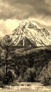 Szary + Sepia