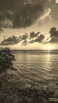 Szary + Sepia