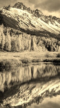 Sepia