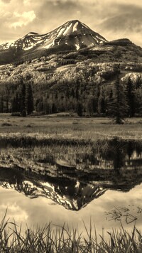 Szary + Sepia