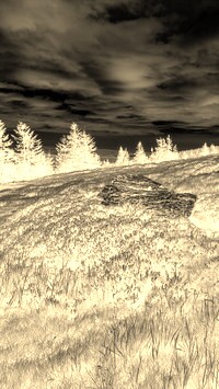 Sepia + Negatyw