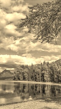 Szary + Sepia