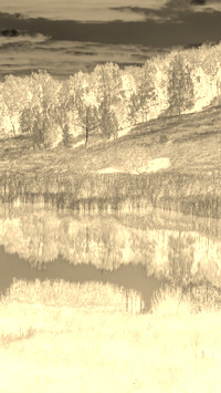 Sepia + Negatyw
