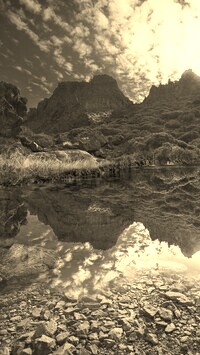 Szary + Sepia