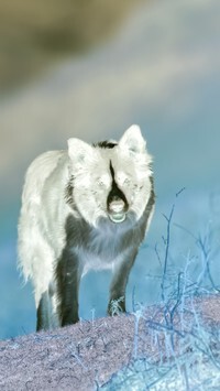 Negatyw