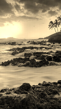 Sepia
