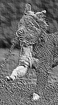 Skamielina