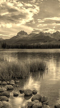Sepia