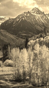 Sepia