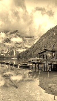 Sepia