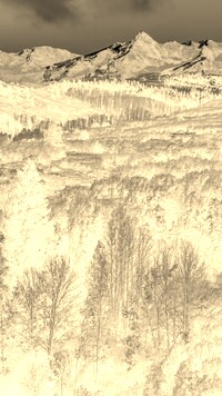 Sepia + Negatyw