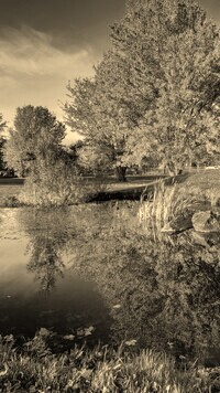 Szary + Sepia