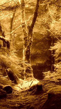 Sepia