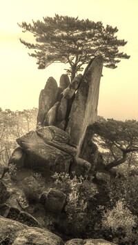 Szary + Sepia