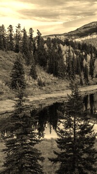 Sepia