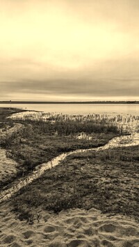Sepia