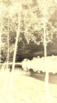 Sepia + Negatyw