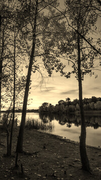 Szary + Sepia