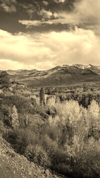 Sepia