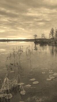 Szary + Sepia