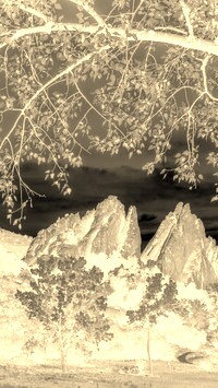 Sepia + Negatyw