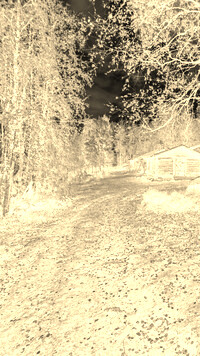 Sepia + Negatyw