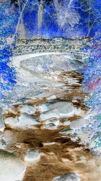 Negatyw