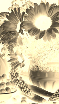 Sepia + Negatyw