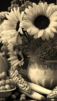 Sepia