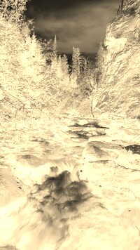 Sepia + Negatyw
