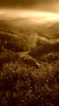 Sepia