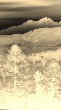 Sepia + Negatyw