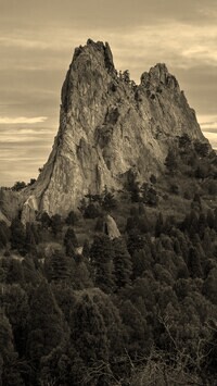 Szary + Sepia
