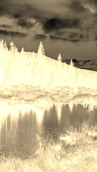 Sepia + Negatyw