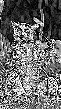 Skamielina