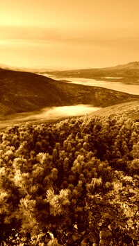 Sepia