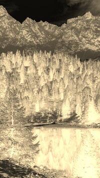 Sepia + Negatyw