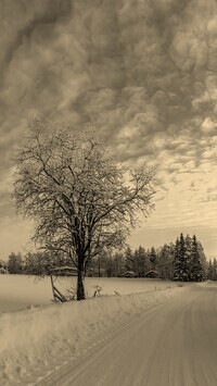Sepia