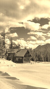 Sepia