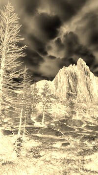 Sepia + Negatyw