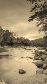 Szary + Sepia
